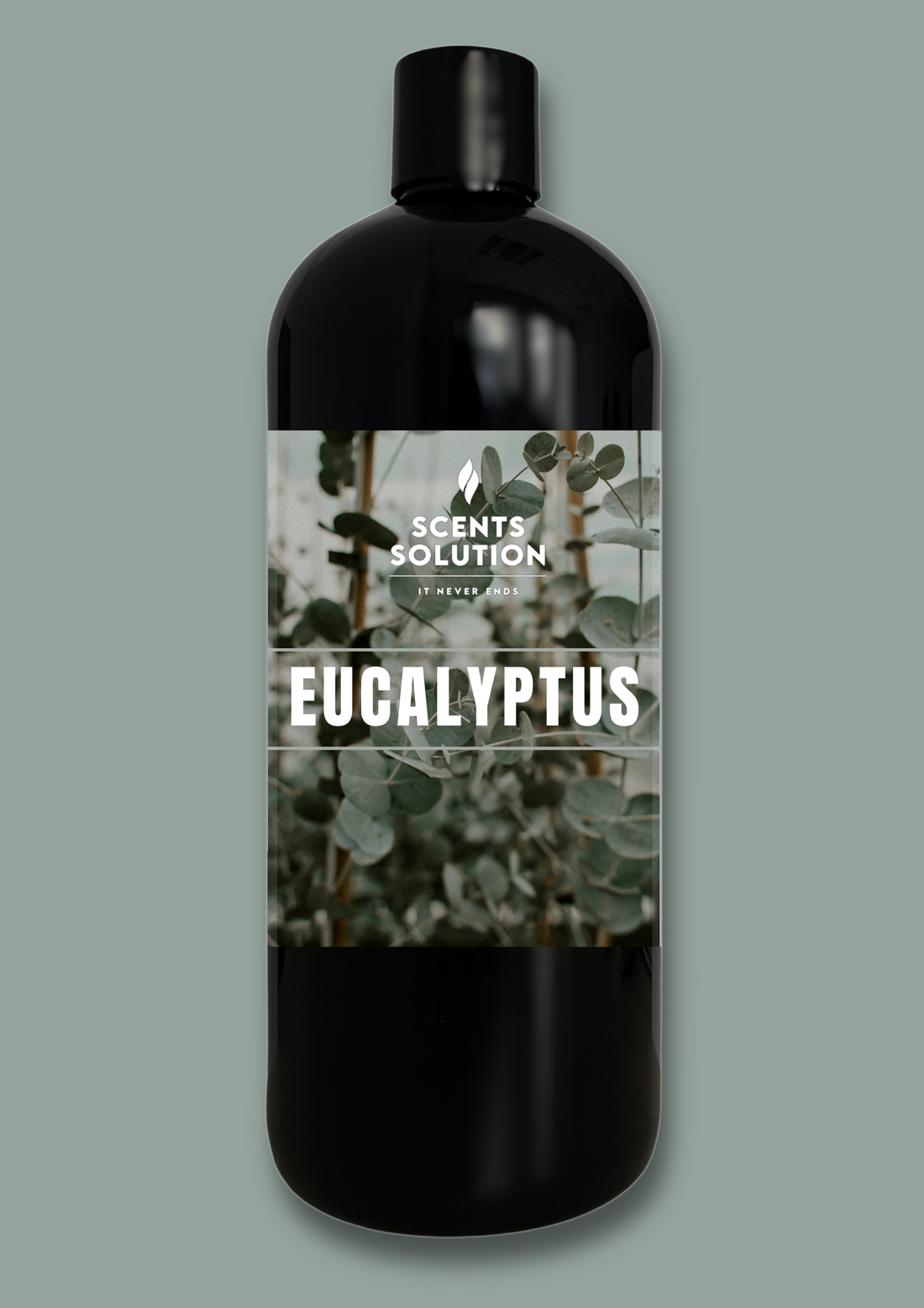 EUCALYPTUS