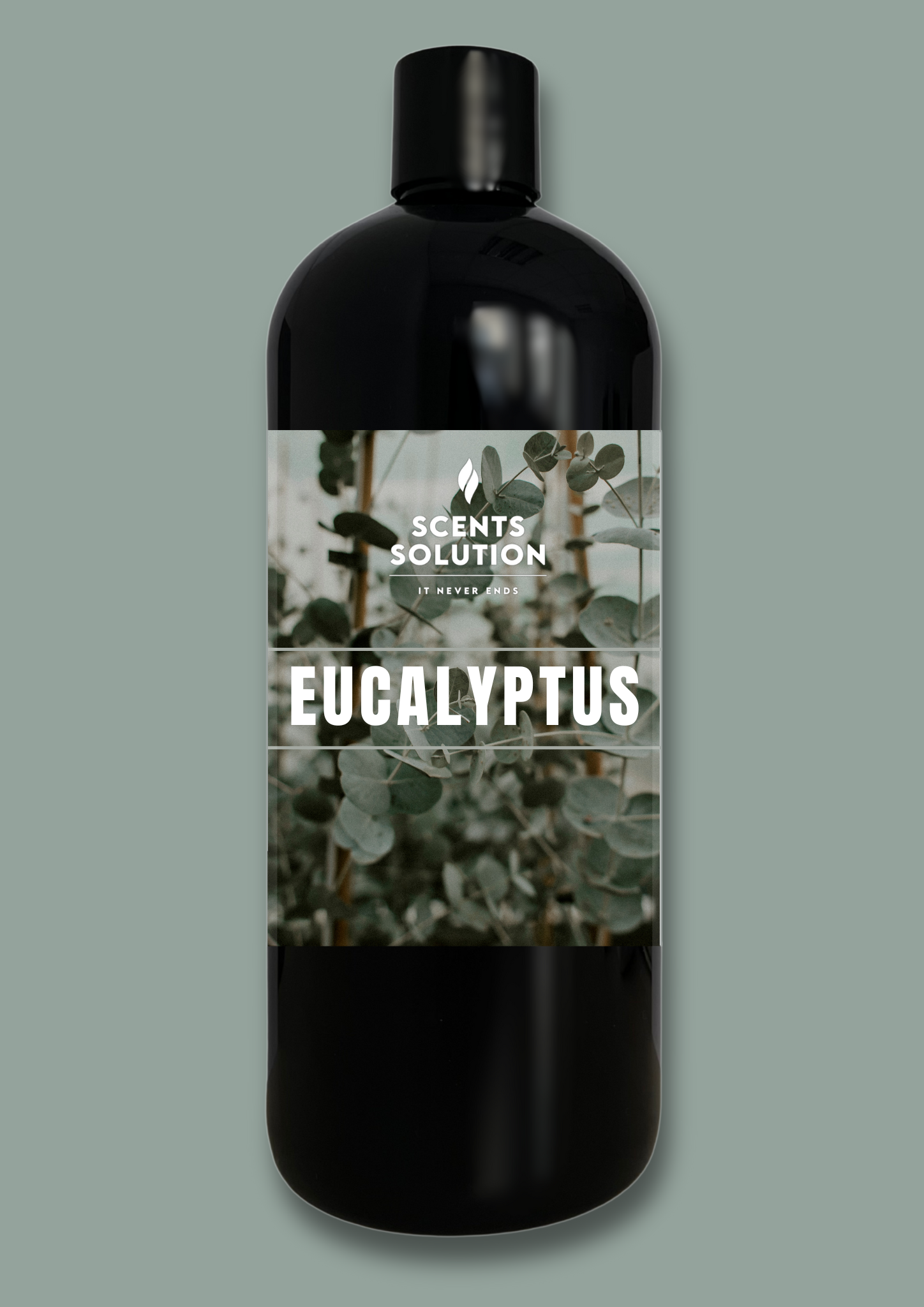 EUCALYPTUS