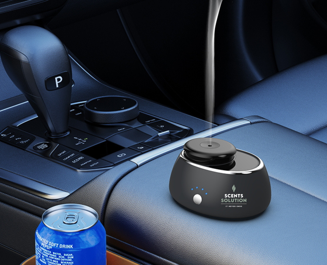 SS 10 SCENTS DIFFUSER